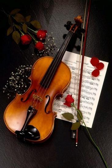 Violon partition et rose